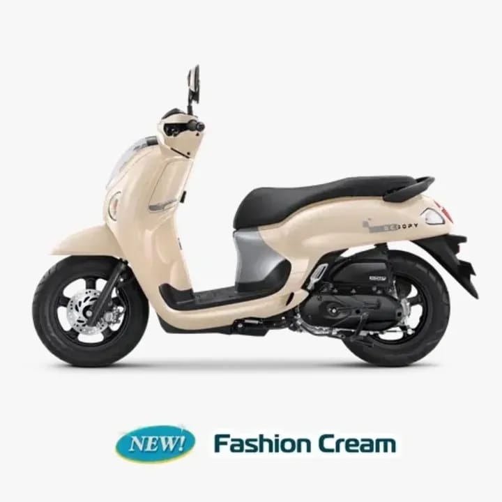Scoopy Fashion