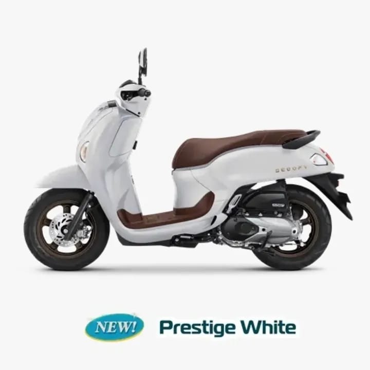 Scoopy Prestige